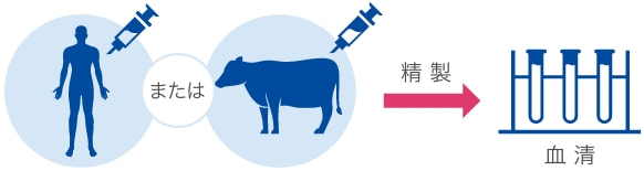 血清培地の精製