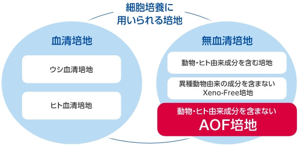 動物・ヒト由来成分を含まない培地（AOF培地）

