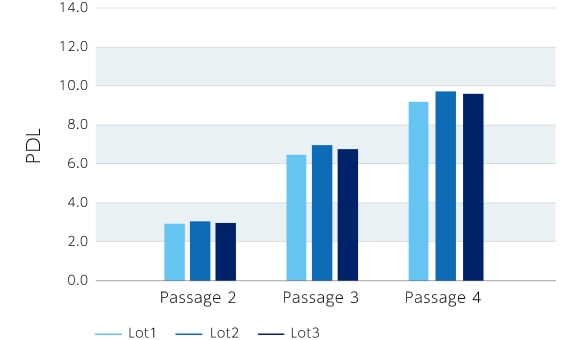 細胞培養の安定性（PDL）