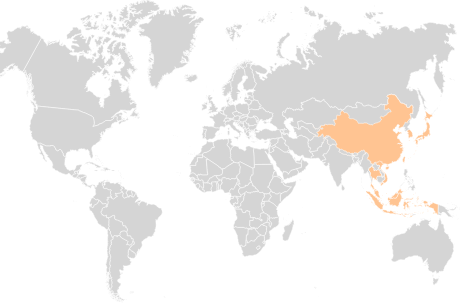 Theme 1: Children's Eye Health and Myopia